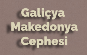 Galiçya ve Makedonya Cephesi
